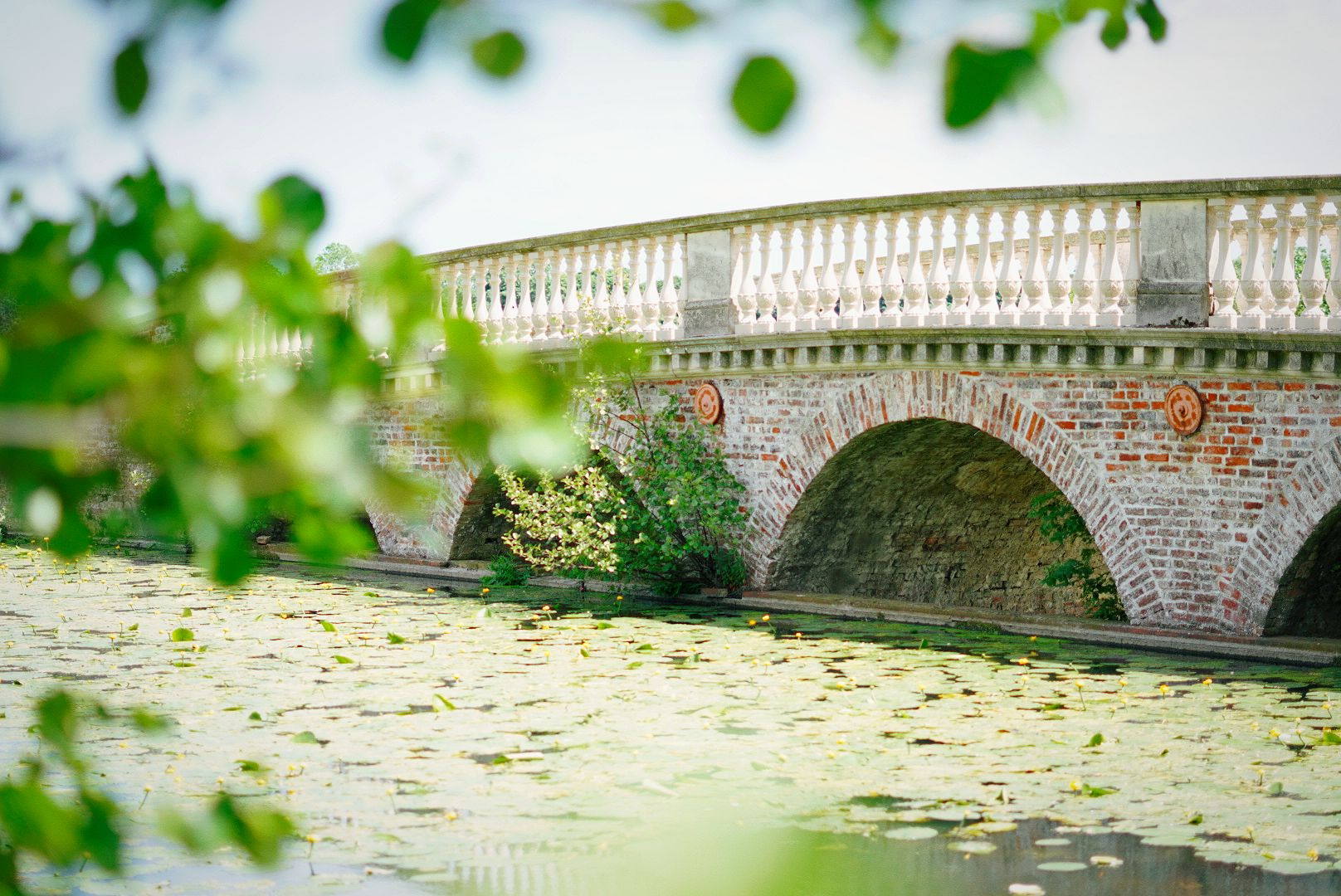 Green leaves blurred out in the foreground, framing a stately looking brick bridge over a lake.