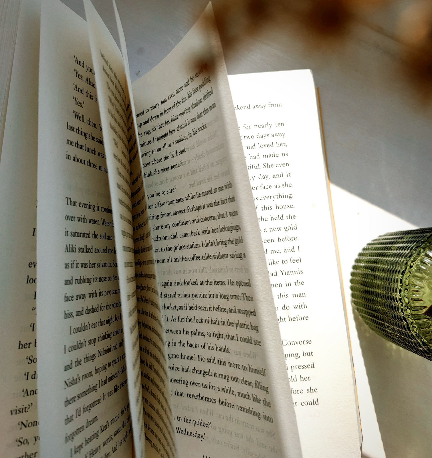 A book being flicked through, close up of the pages