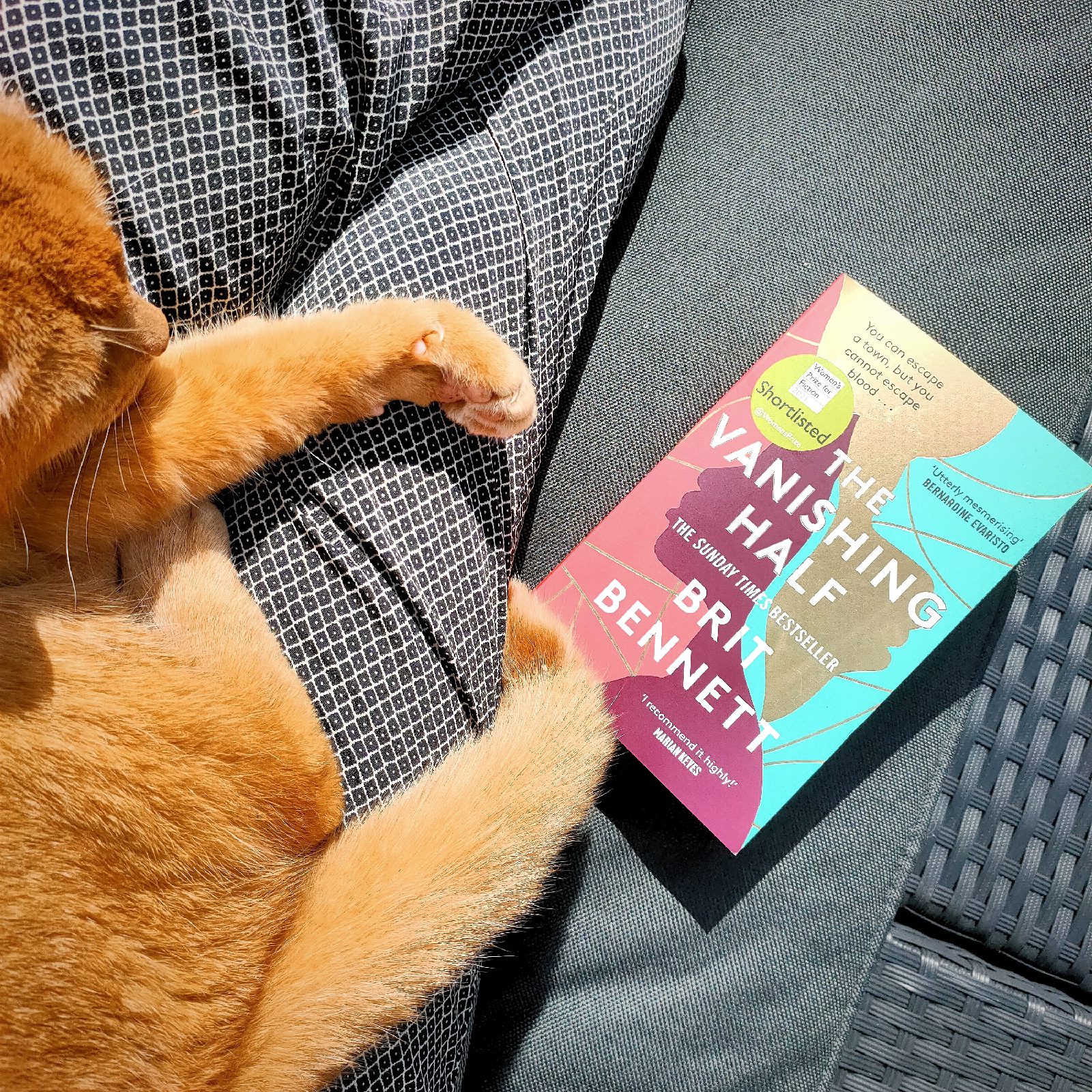 a ginger cat sits on someone's lap, next to them is a closed book; The Vanishing Half by Brit Bennett