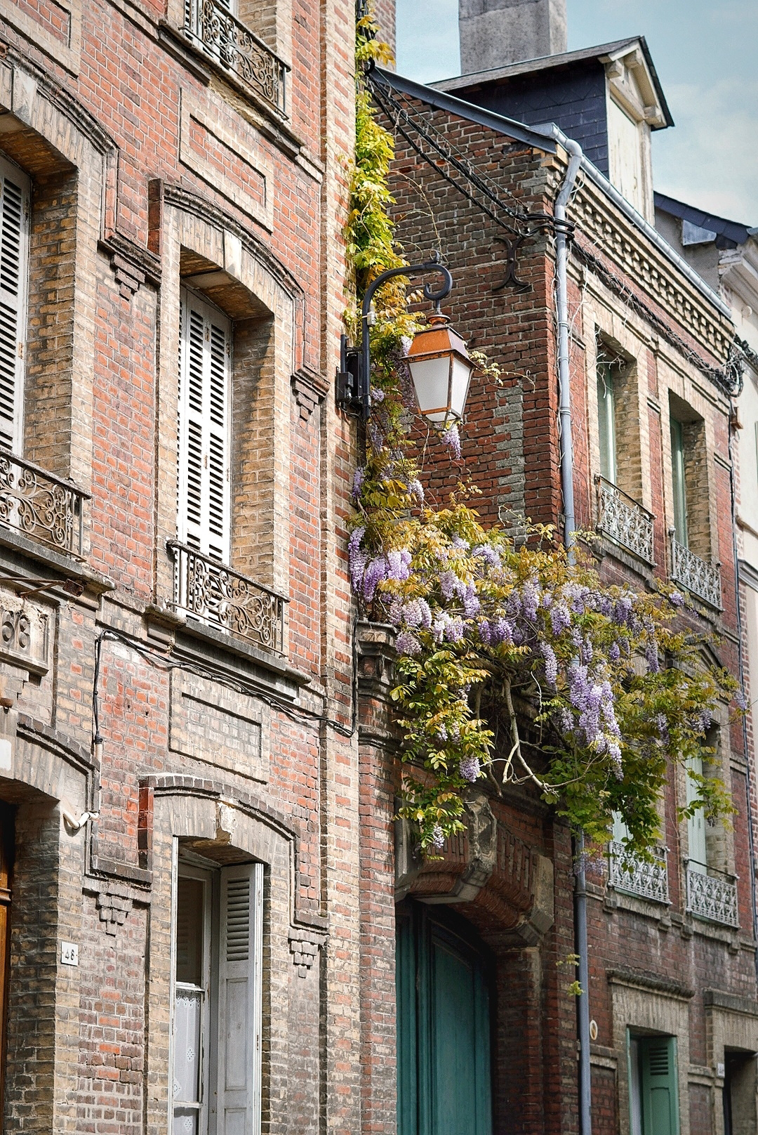 wisteria growing over an old brick building in Honfleur, France