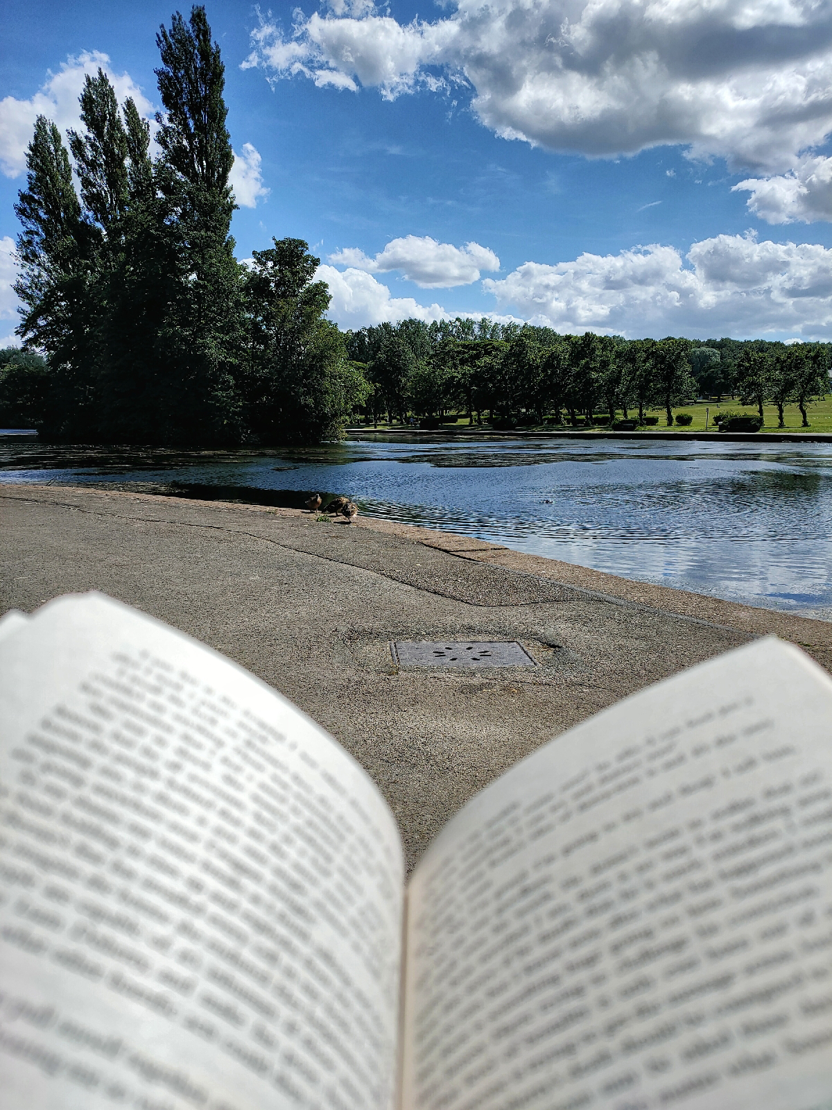 an open book out of focus in front of a lake and a blue sky framed by some trees