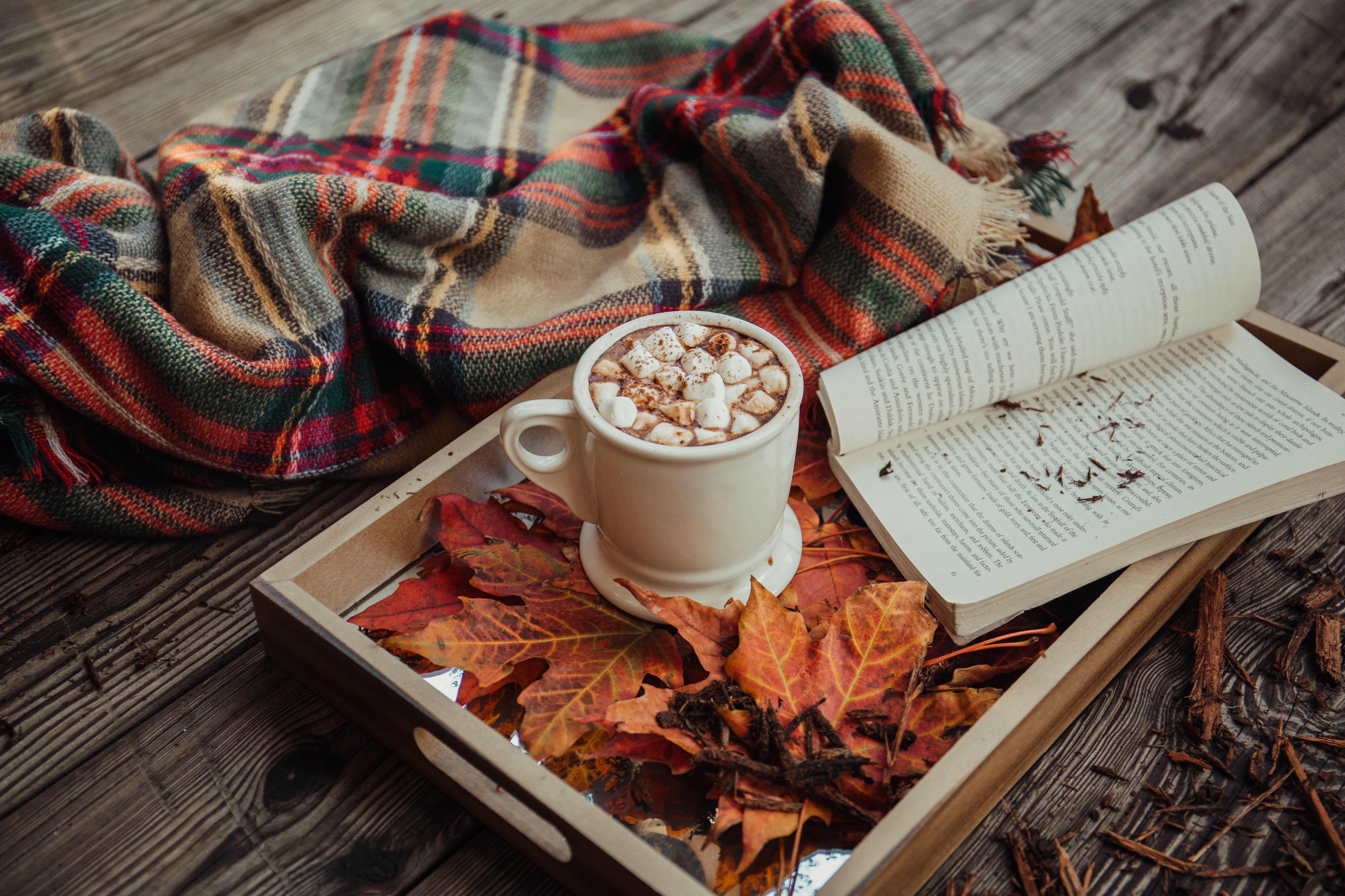 flatlay of an open book next to a scarf and some autumn leaves