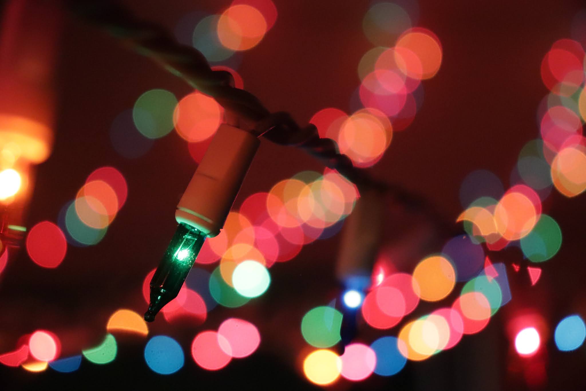 multi-coloured christmas fairy lights, mostly blurred in the background, one in focus in the foreground