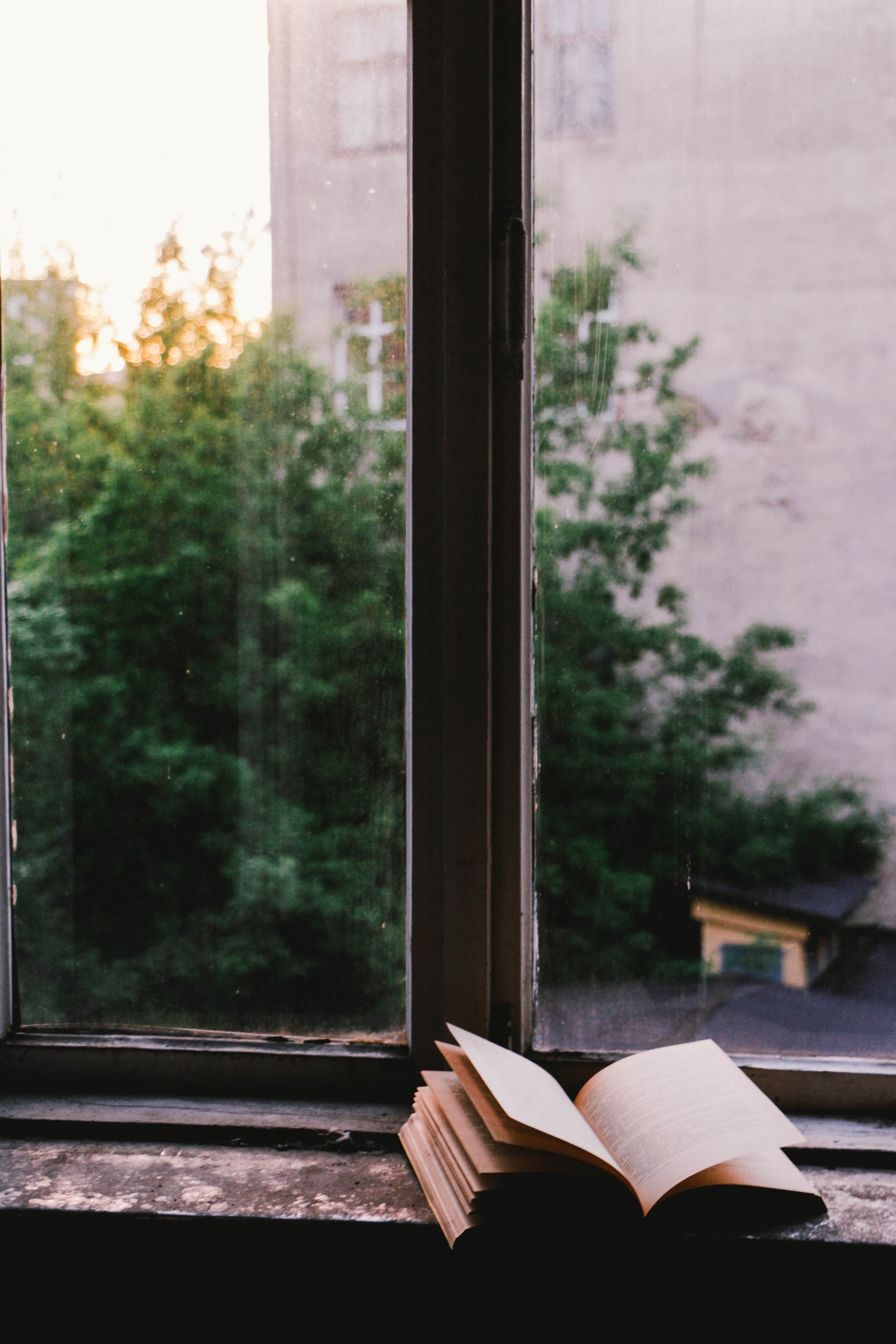 a book lying open in front of a window, through which are some trees