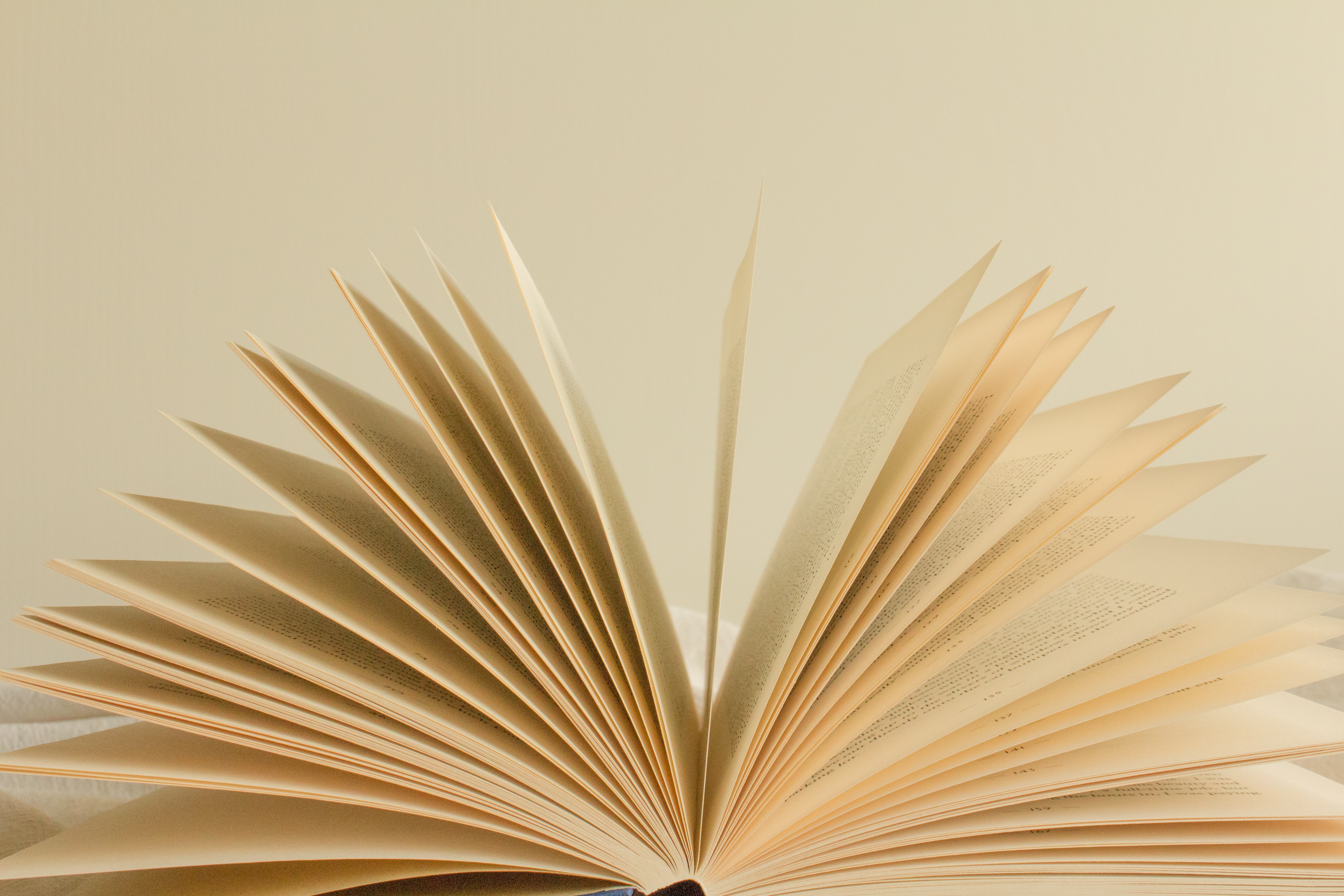 side view of the pages of an open book