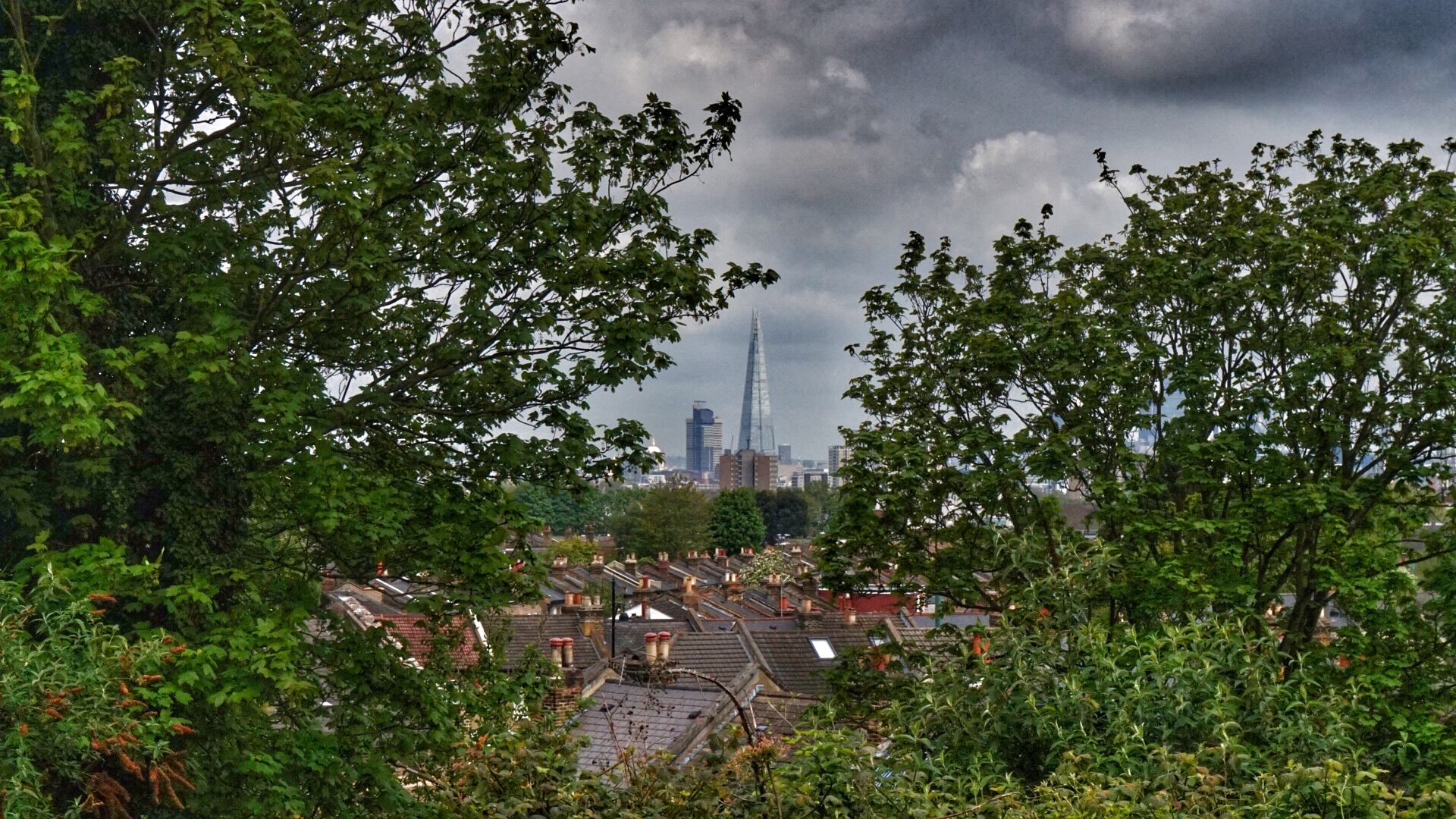 view of The Shard and other London rooftops through some trees on a moody grey day