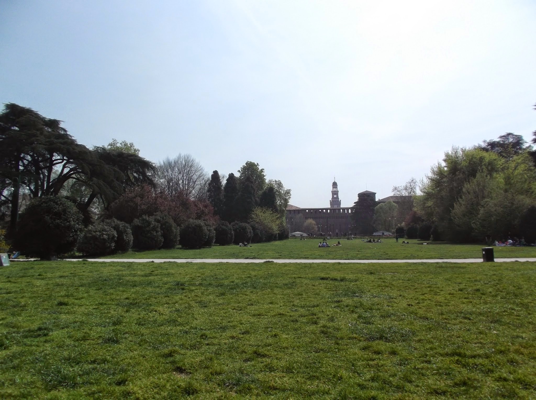 view across a park, blue sky