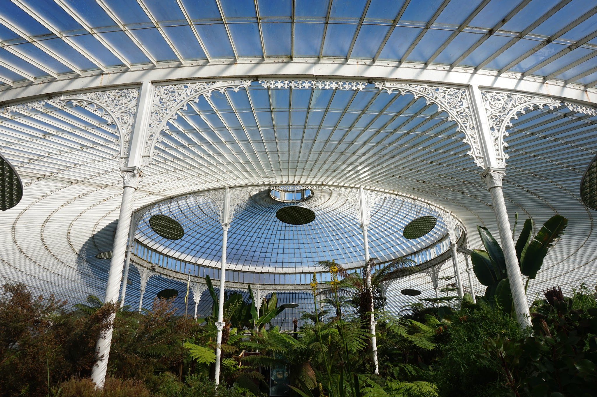 ceiling of huge botanical greenhouse